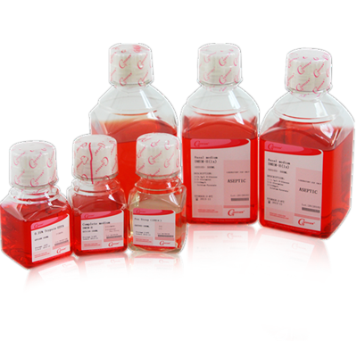 GC1114-1ML GC Enhancer（5×）